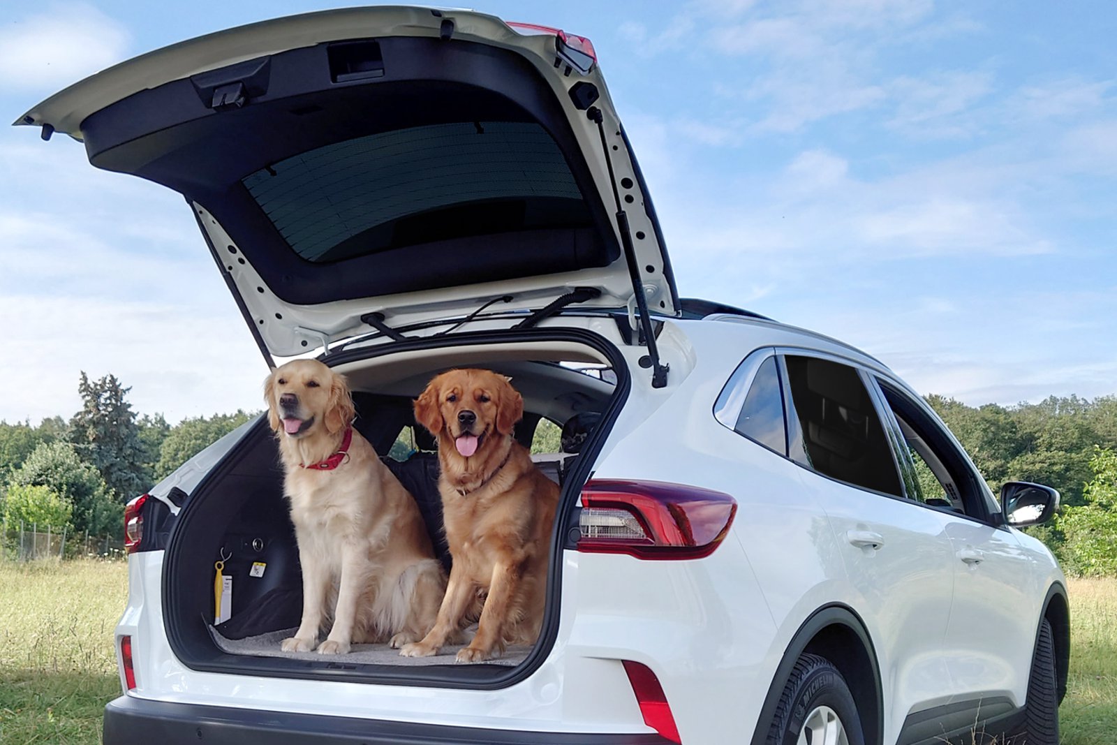 zwei Hunde sitzen im Kofferraum eines Autos mit geöffneter Heckklappe mit Sonnenblende