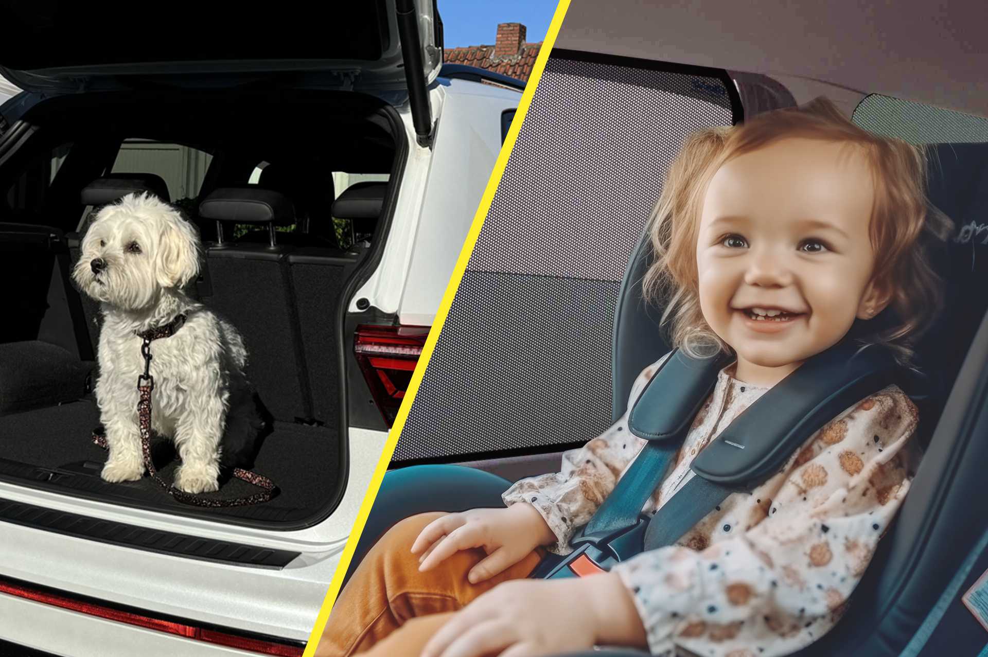 Geteiltes Bild mit einem Hund im Auto und einem Kleinkind in einem Kindersitz