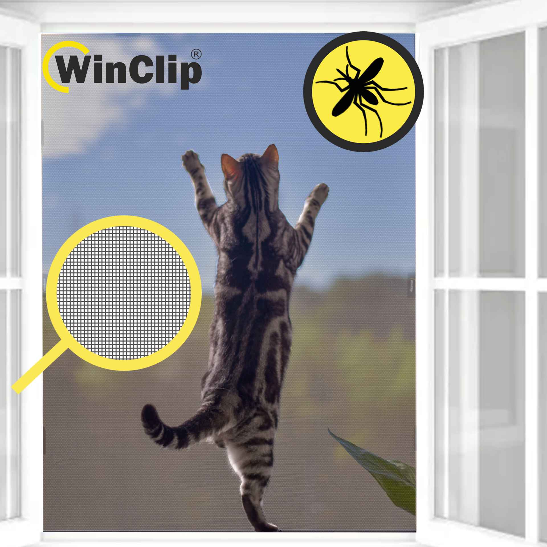 ein Fenster mit einem PetScreen und einer Katze davor