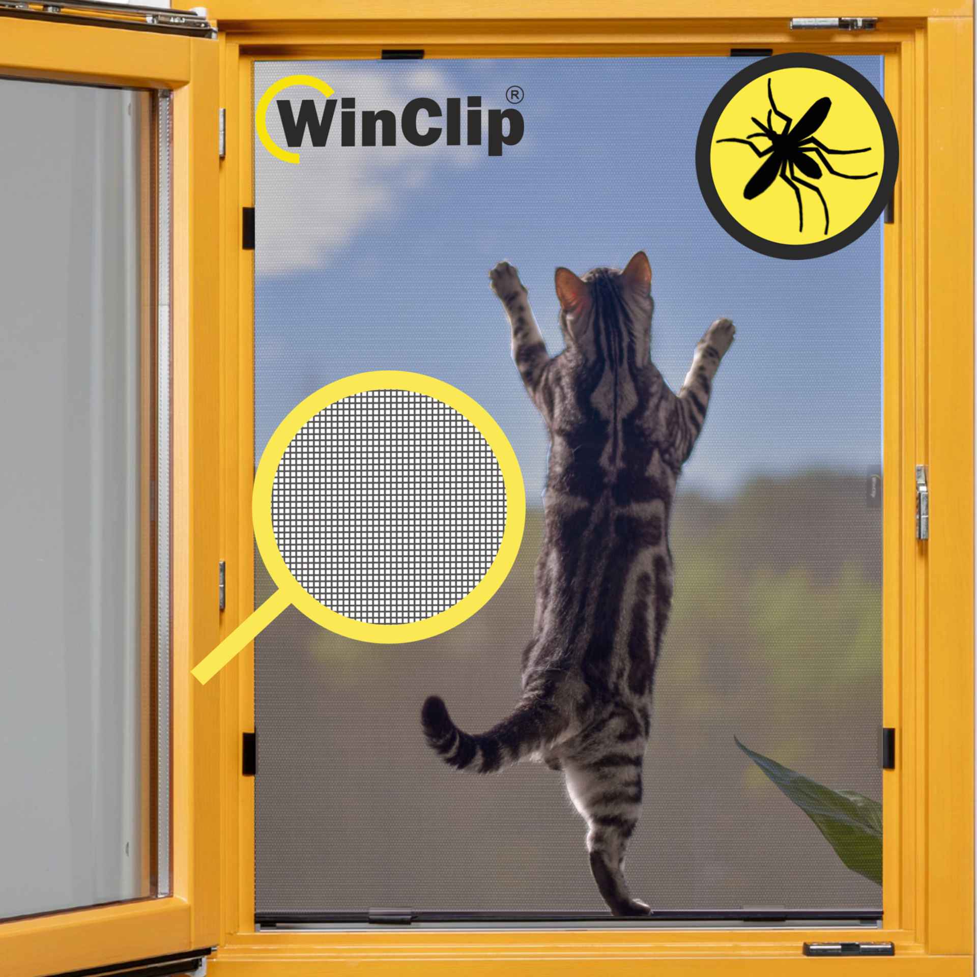 Fenster Katzenschutz WinClip MULTI PetScreen - Holzfenster und weitere Fenster B2B ein Holzfenster mit einem Pet Screen und einer Katze davor
